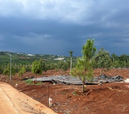 Cần Bán Đất Gần Chợ Tân Hà Lâm Hà Diện tích 302m² Giá 495 Triệu Thổ cư...